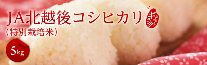 コシヒカリ 新潟 JA北越後産 特別栽培米コシヒカリ 5kg×4